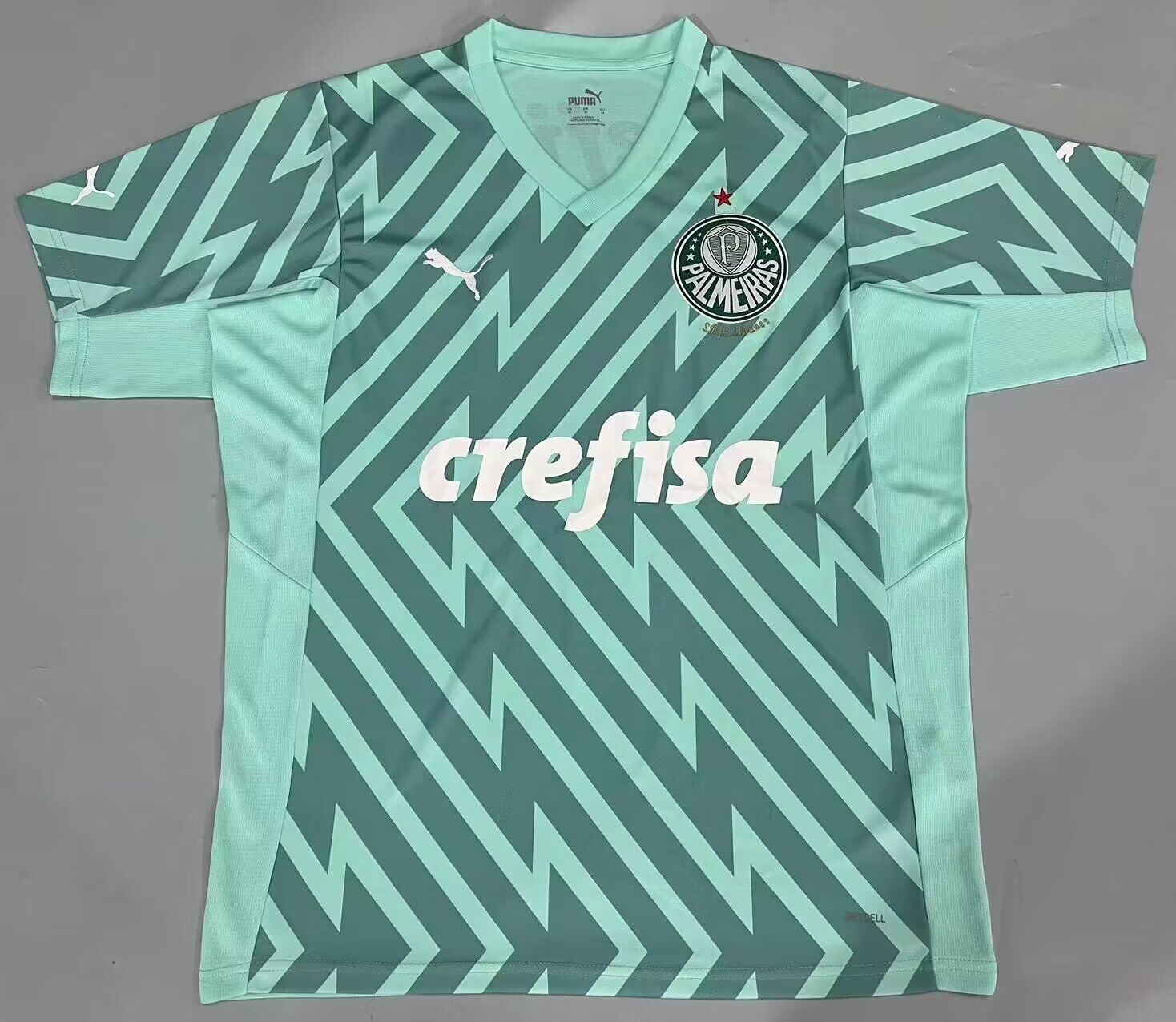 AAA Quality Palmeiras 24/25 GK Green Soccer Jersey